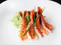 Suspendisse arcu nisl