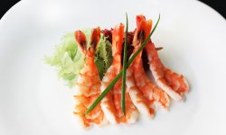 Suspendisse arcu nisl