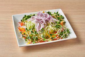colorful vegetable salad